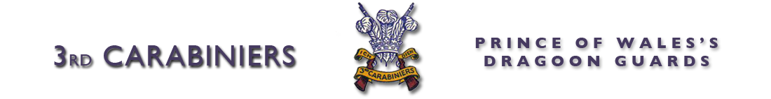 3rdcarabiniers.org.uk